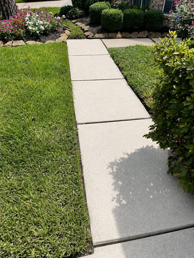 Clean walkway after pressure washing