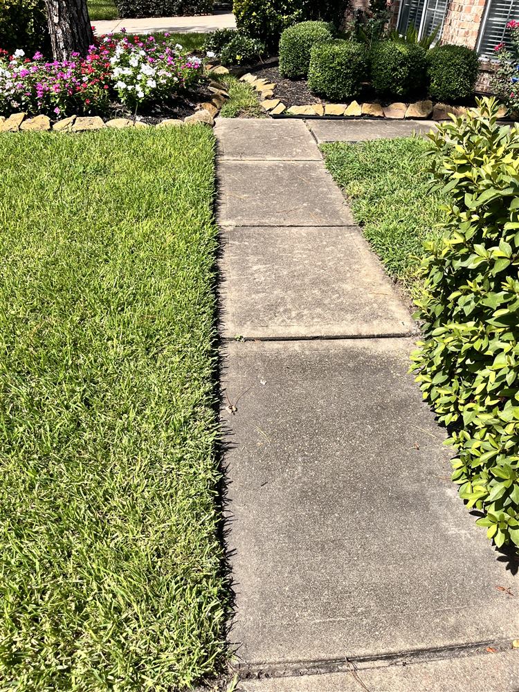 Dirty walkway before pressure washing